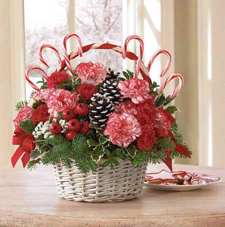 Candy Cane Christmas